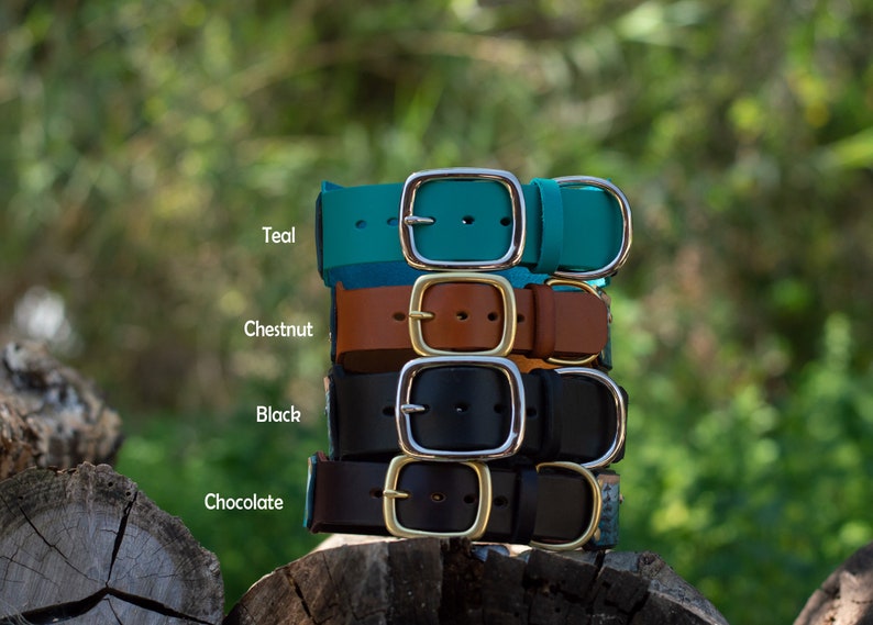 Mountain & Pine Trees Dog Collar misty Pines Etsy