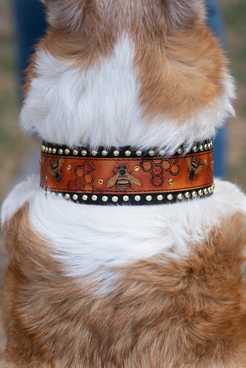 Honey Bee Dog Collar and Leash with Yellow Gold Metal Buckles