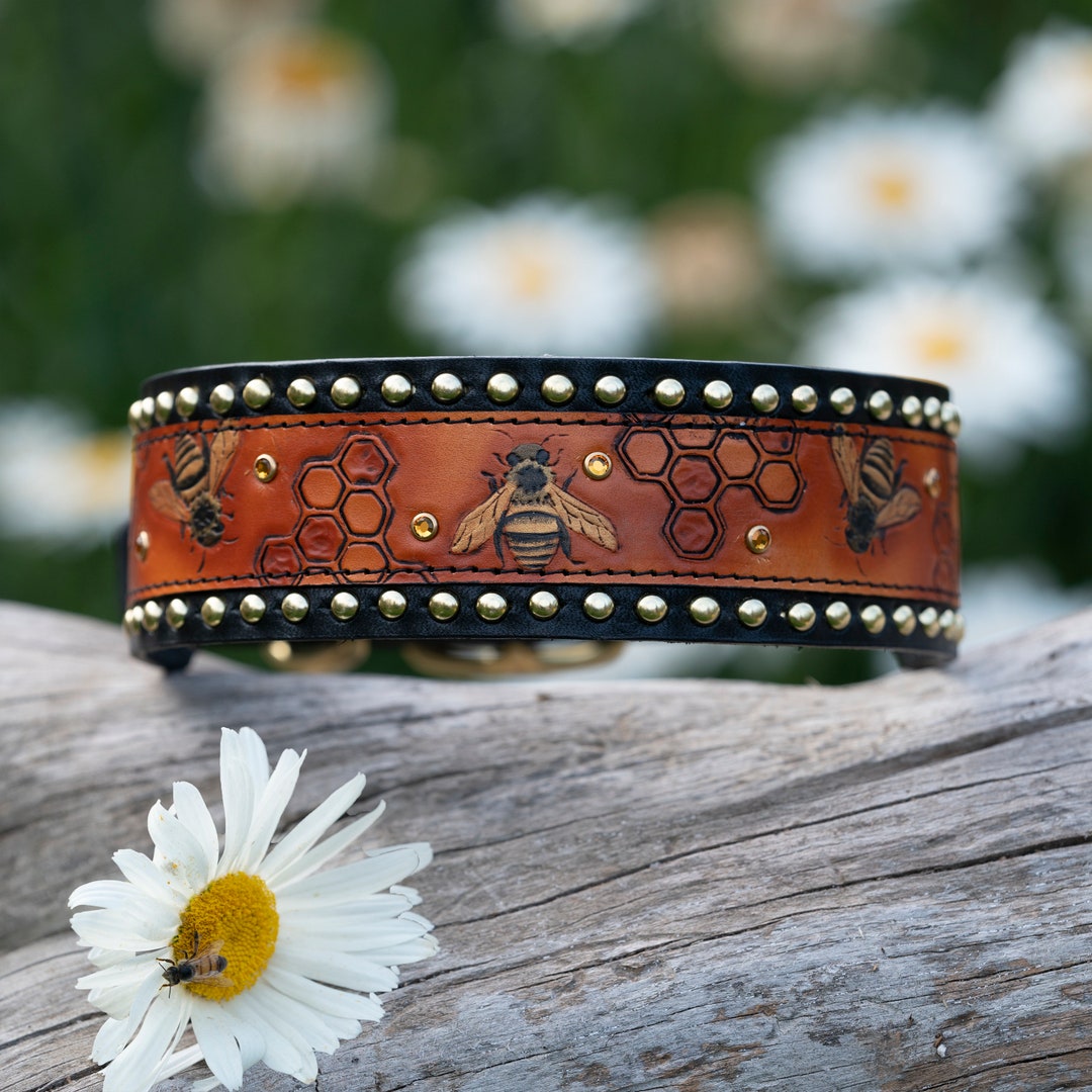 Honey Bee Dog Collar With Gold Border - Etsy