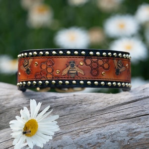 Honey Bee Dog Collar with gold border