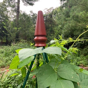 Könnte beinhalten: Ein rotes Holz-Abschlussstück sitzt auf einem grünen Metall-Gartenspalier. Das Spalier ist mit grünen Blättern bedeckt.