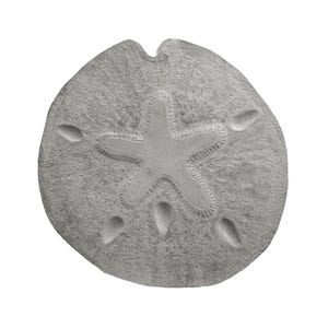 Sand Dollar Stepping Stone