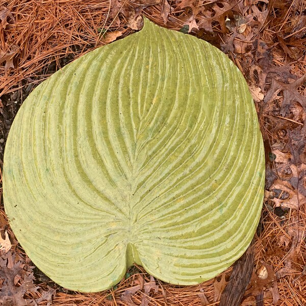 Hosta Leaf Stepping Stone