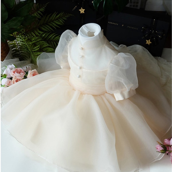 Light Champagne High Grade Organza Dress Pretty Girl Dress Buttons Dress First Communion Dress Flower Girl Tulle Dress Stunning Baby Gown