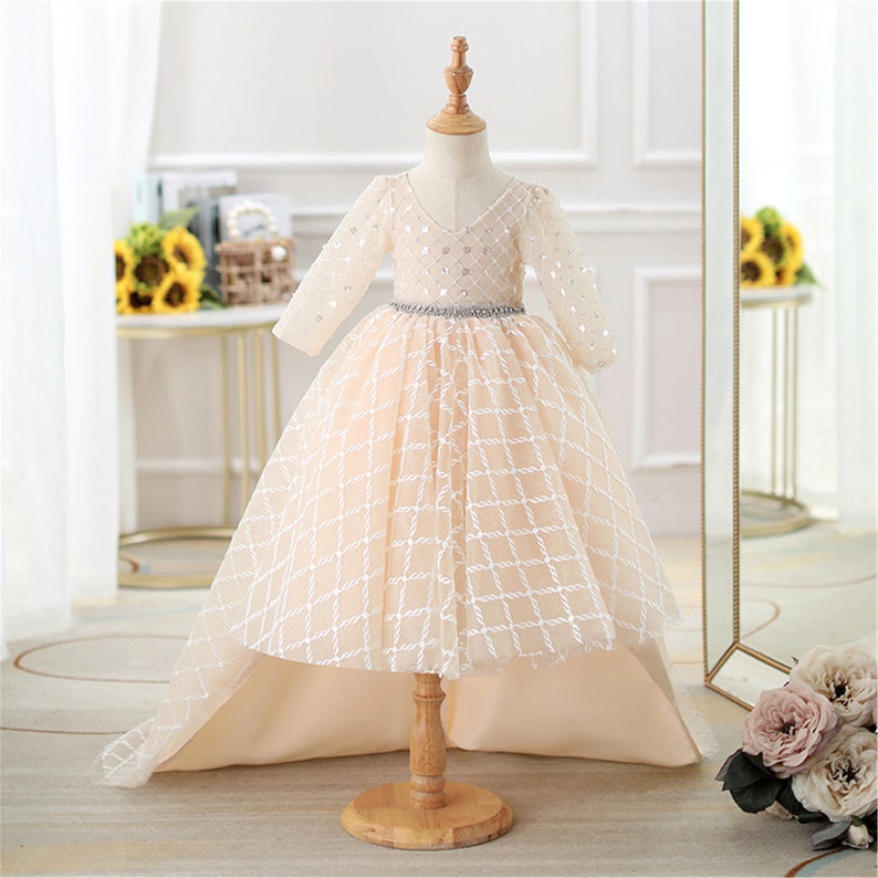 Champagne Tulle Dress Flower outlets Girl Dress with Train Baby Girls Dresses Crystal Belt Toddler Girl Birthday Gown Grand Occasion Dress Gifts