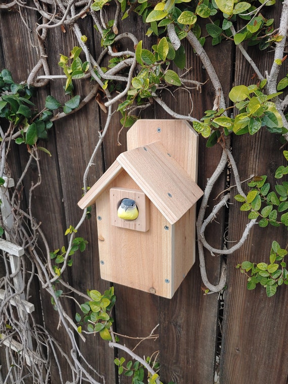 Kids or Adults DIY Bird House Kit Etsy