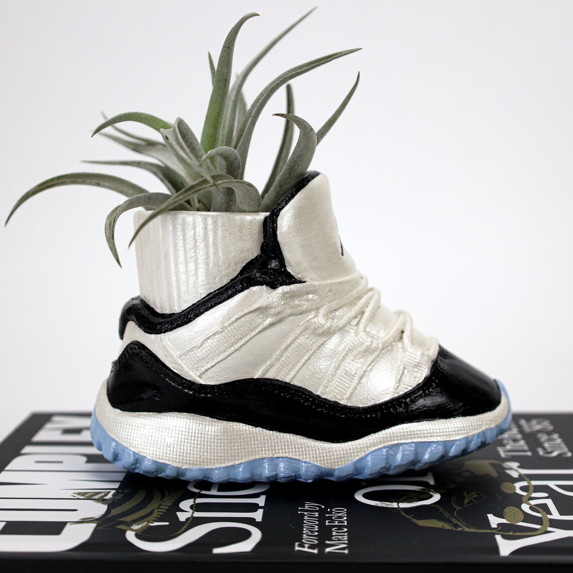 Concord Jordan 11 Ceramic Sneakerpot Etsy