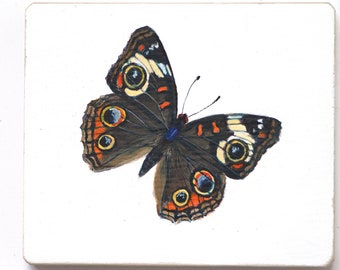 Buckeye Buttefly Painting. Original Art. Eco-art. Gifts for Mom. Natural History.