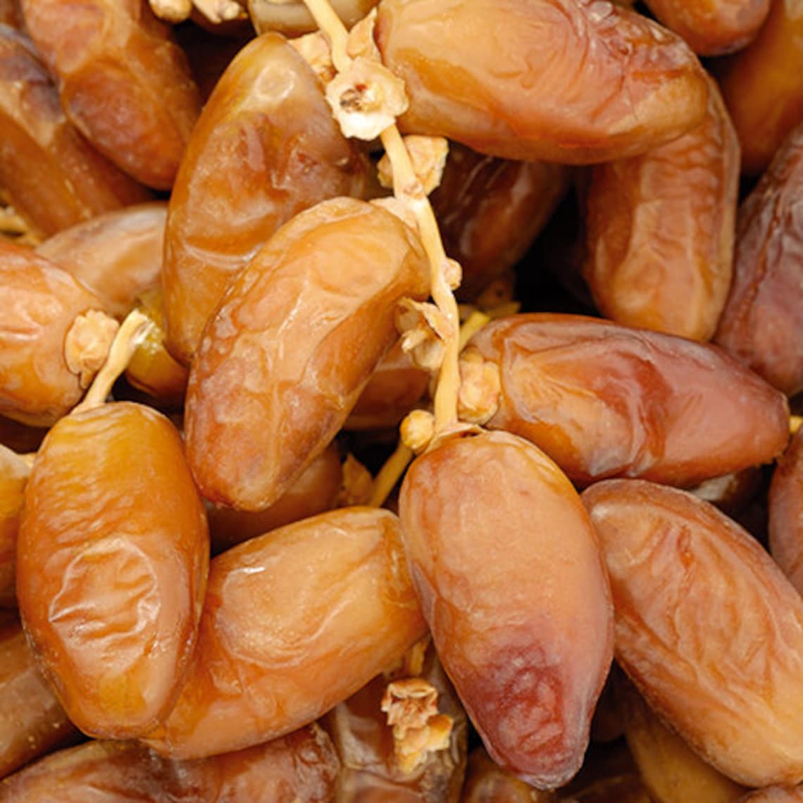 FRESH ALGERIAN DATES Etsy UK
