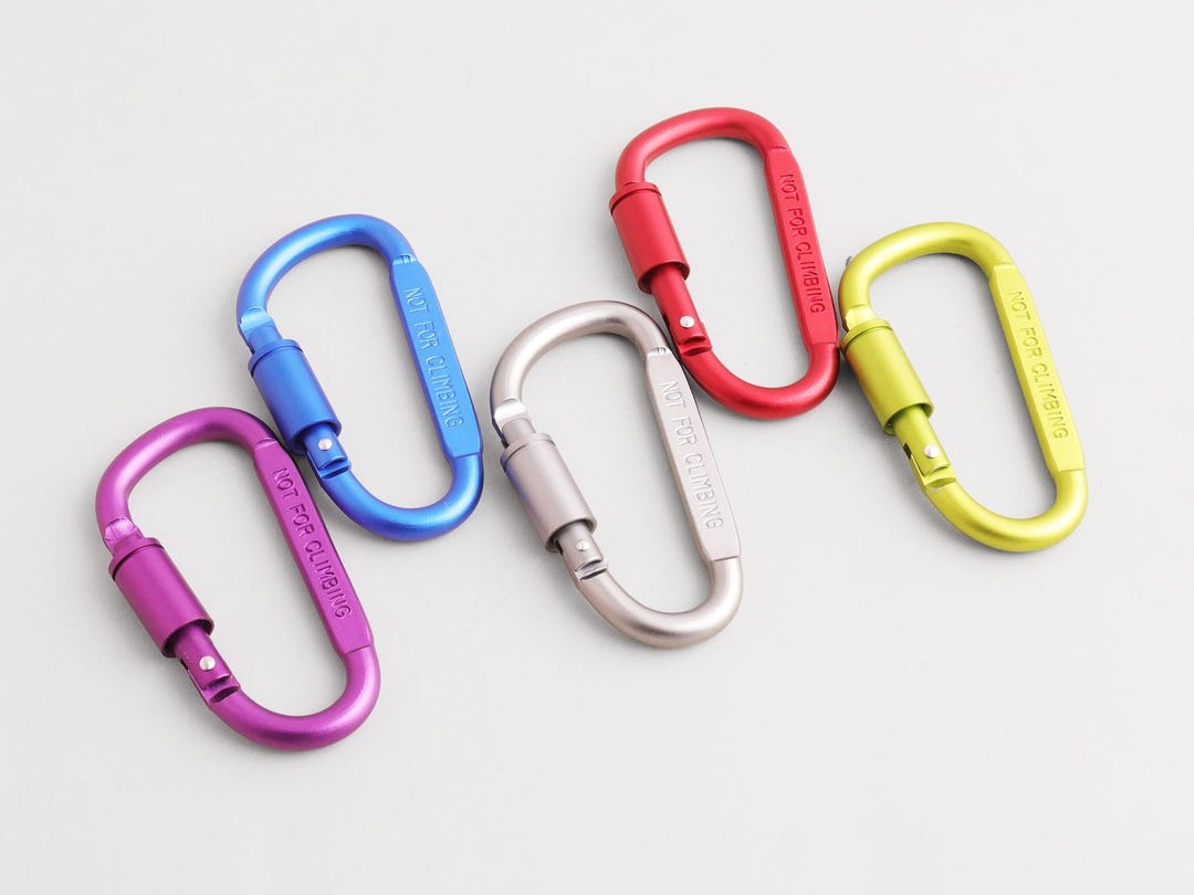 Spring Snap Hooks Carabiner Camp Snap Hook : Spring for Keychain Clip Lock Snap Hooks ...