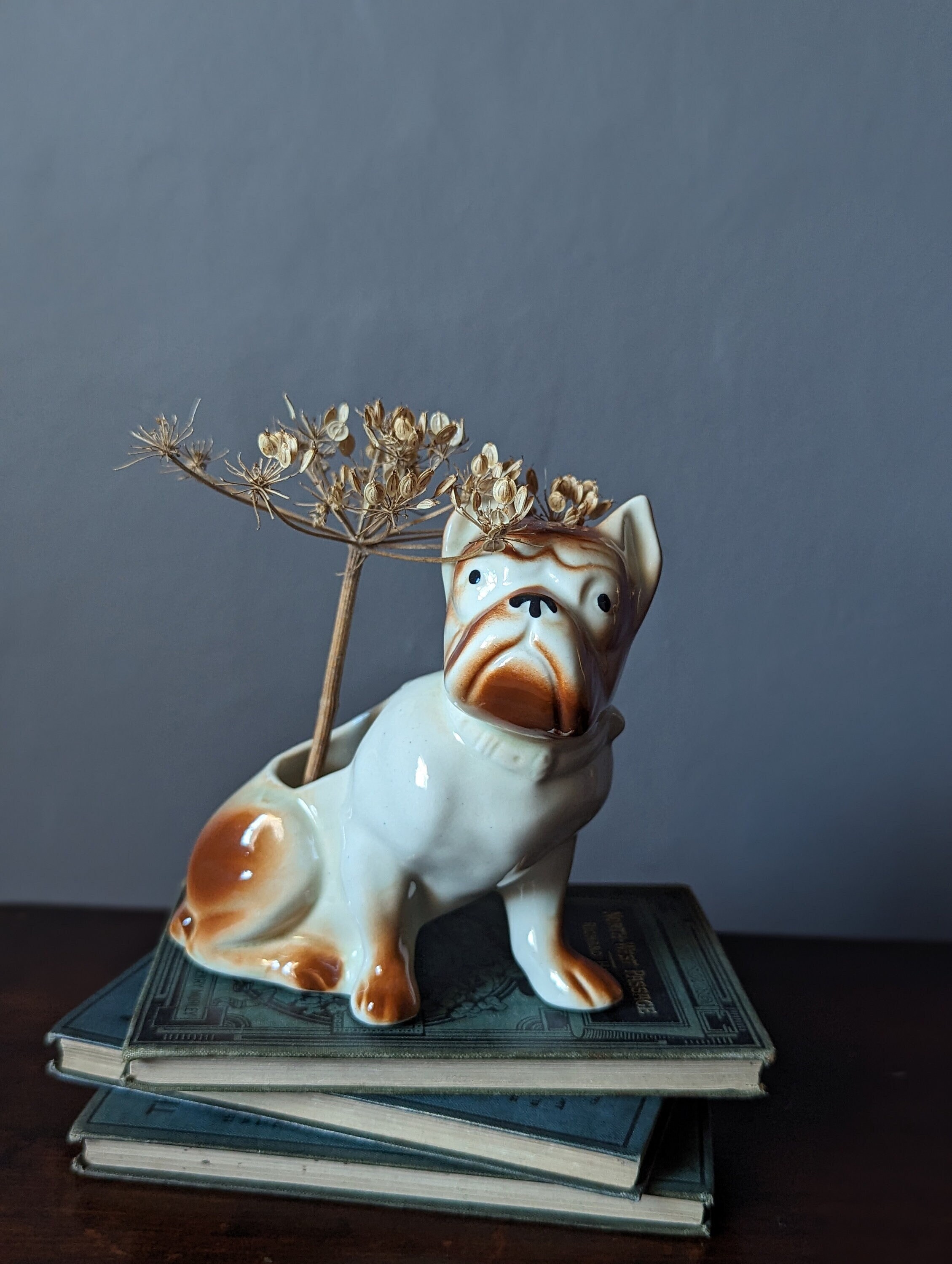 〜50s Vintage Chalkware French Bulldog 置物 50s Vintage Chalkware French Bulldog 置物