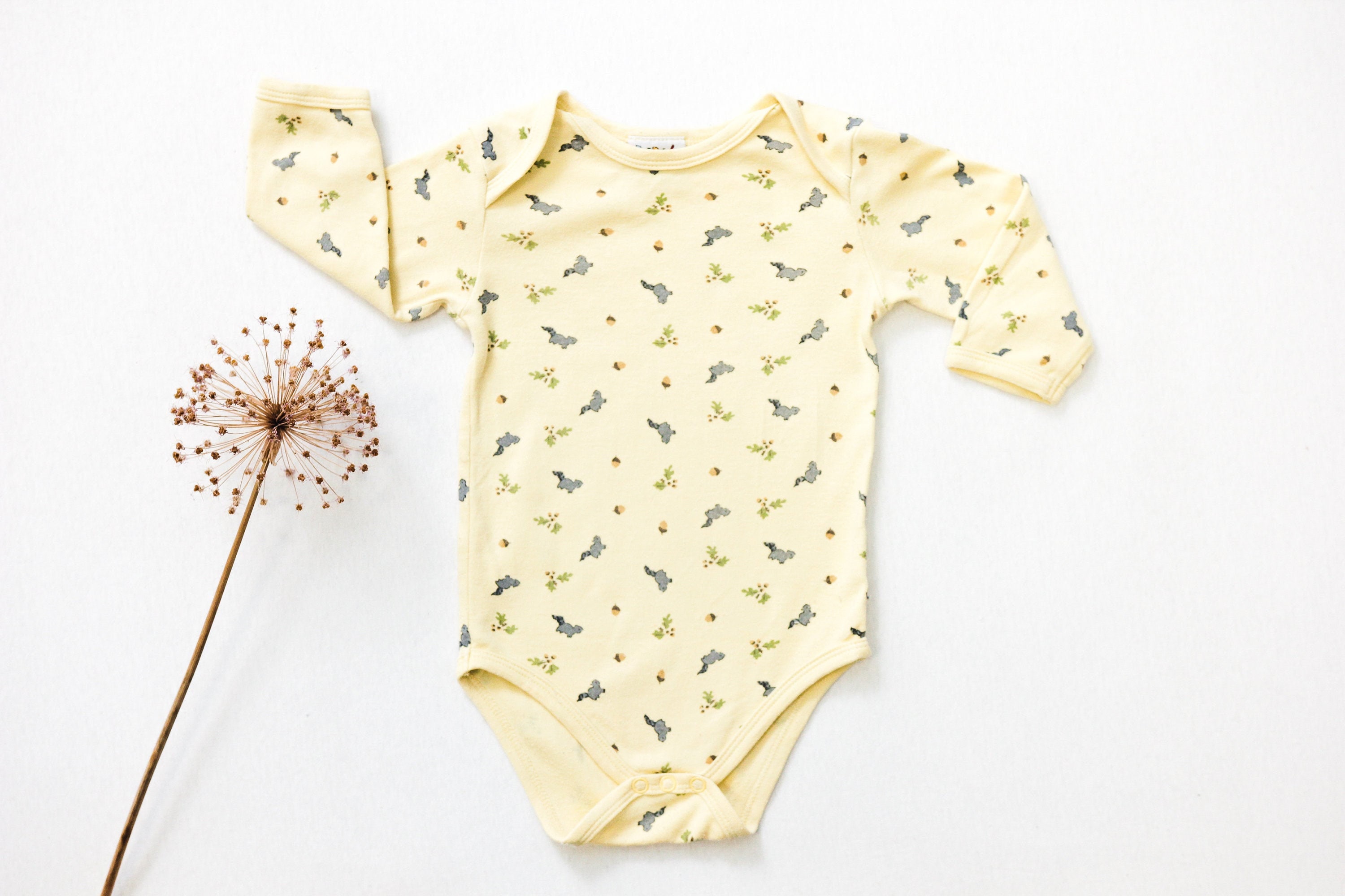 babytriana ファーストバースデー 9-12m 80size babytriana ファーストバースデー 9-12m 80size