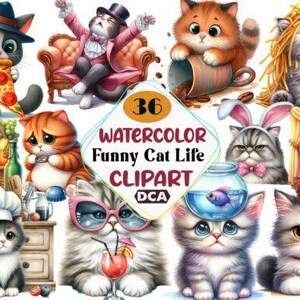 Funny Cat Clipart Bundle, PNG Transparent Files, Cat Quotes, Cute and Sarcastic Cat Illustrations, Pet Lover Digital Art for T-Shirts, Mugs