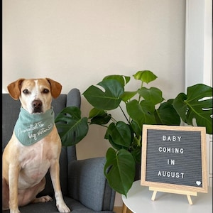 Personalized Luna dog bandana in 25 colors, dog bandana with name and custom text, for tying or buttoning, made of muslin image 7