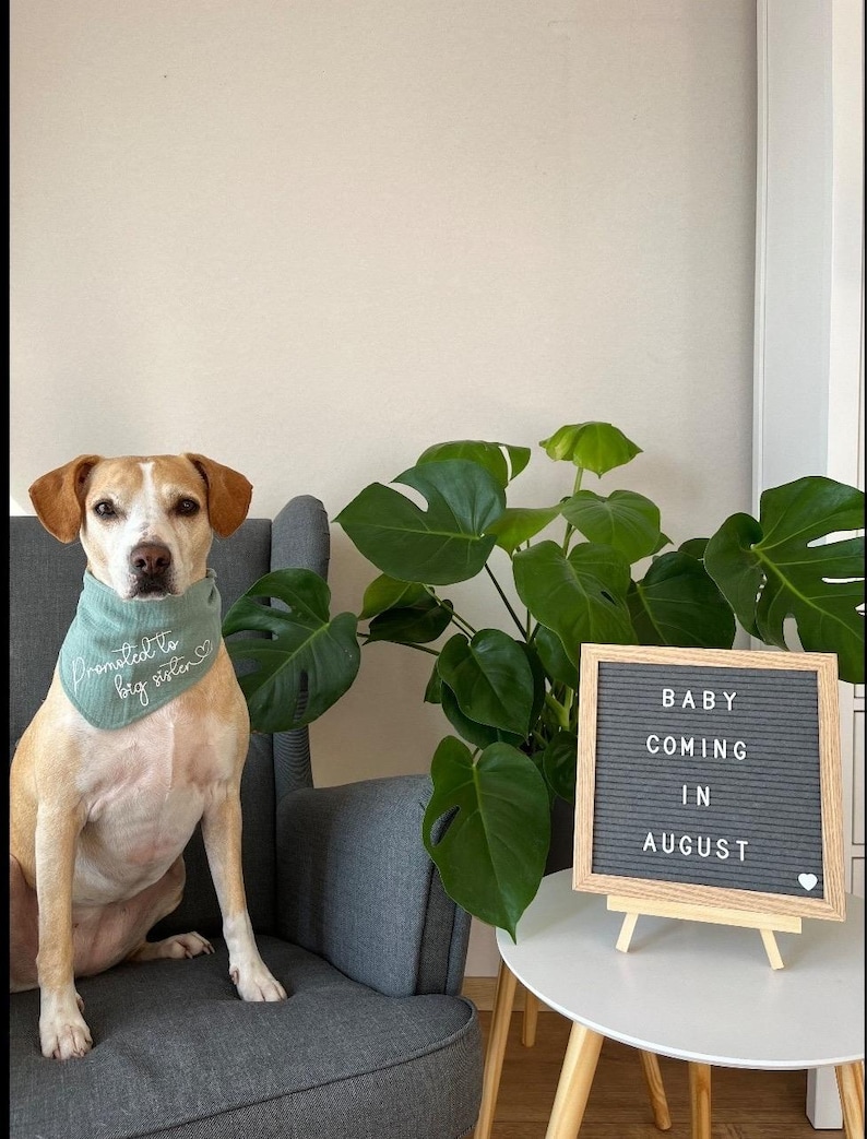 Personalized Luna dog bandana in 25 colors, dog bandana with name and custom text, for tying or buttoning, made of muslin image 7