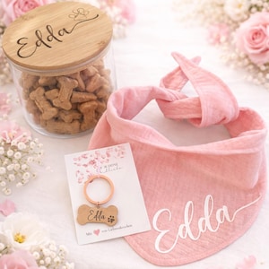 Geschenkset für Hunde, Hundehalstuch,  Leckerliglas, Hundemarke