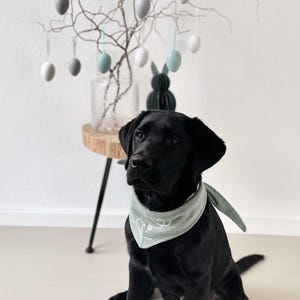 Personalized Luna dog bandana in 25 colors, dog bandana with name and custom text, for tying or buttoning, made of muslin image 6