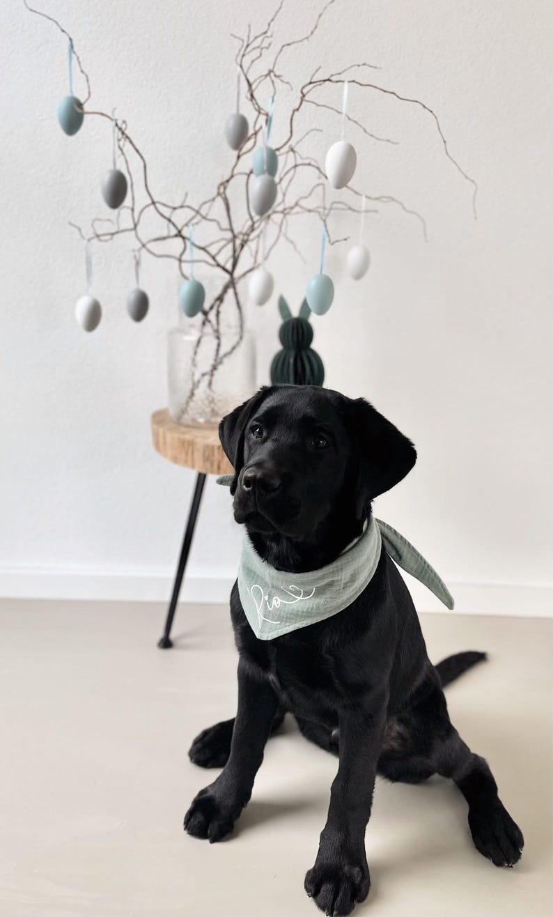 Personalized Luna dog bandana in 25 colors, dog bandana with name and custom text, for tying or buttoning, made of muslin image 6