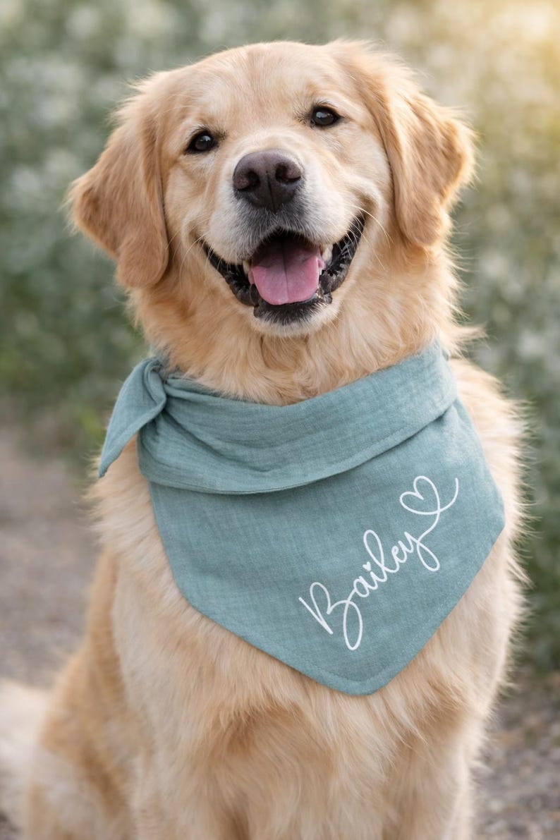 Personalized Luna dog bandana in 25 colors, dog bandana with name and custom text, for tying or buttoning, made of muslin image 5