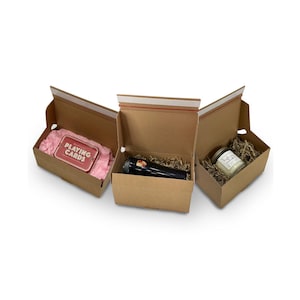 Cardboard Peal and Seal Postal Boxes / Packing Cartons