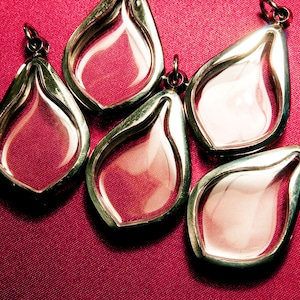 Skuggaskhängen, Terrarium, Halsbandsbrickor, Genomskinlig Medaljong, Tom Behållare, Diorama, Vitrinskåp, Konst och Hantverk, Parti om 5