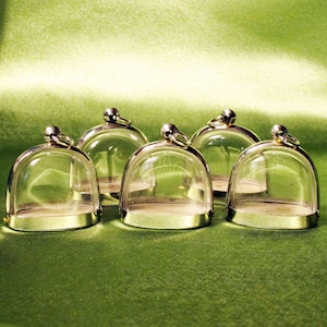 String Garden Jewelry, Pendant Case, Petite Dome, Terrarium Dome, Shadow Box Frame, Stainless Steel, 5 little pieces