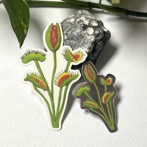 Adesivo con trappola per mosche di Venere / Decalcomania riflettente argento / Arte con piante esotiche