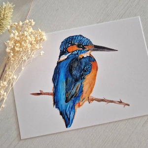 Postkarte Eisvogel,  Karte Gartenvogel,  Künstlernamen Vogel