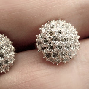 Silver stud earrings - Biology - Thalamophora III