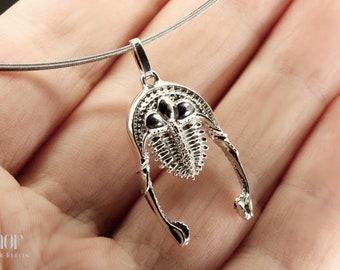 Silver pendant - Aspidonia, Turtle
