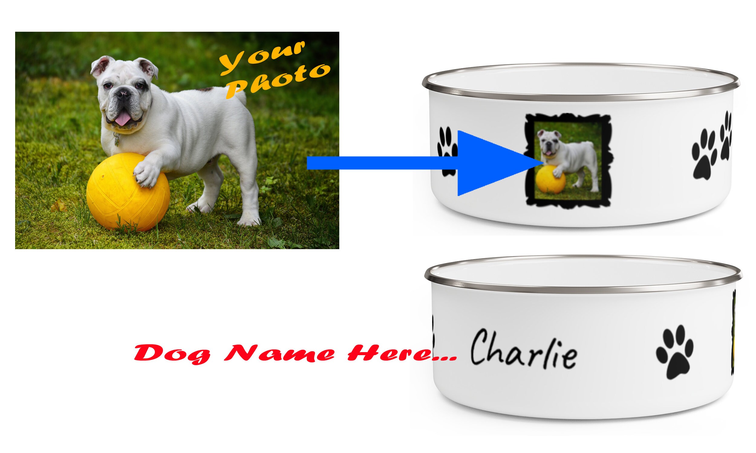 Custom Dog Bowl with Name Gift for Pet Food Bowl Water Bowl Etsy