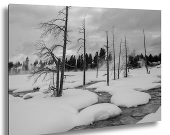 Foto de paisaje invernal de Yellowstone: Árbol quemado, arte natural nevado