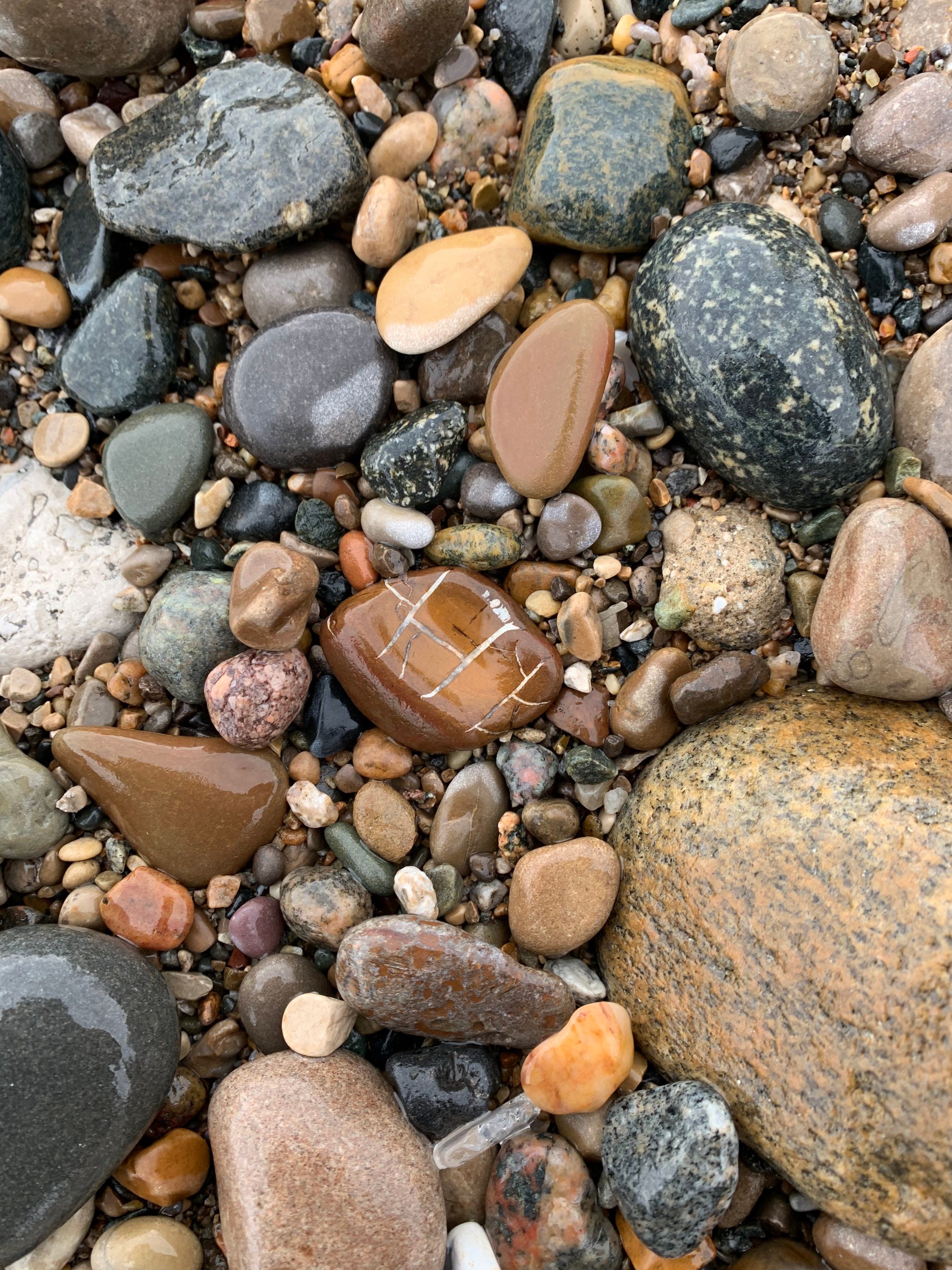Michigan Lightning Stones Septarian Nodules Fossil Mud Cracks 4 for 20