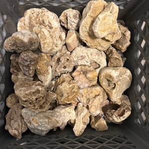 Missouri Lace Agate - Rough Agate for Tumbling/Cutting
