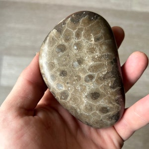 Peut inclure: Une pierre lisse de couleur brun clair avec un motif de corail fossilisé. La pierre a une forme arrondie et fait environ la taille d'une main.