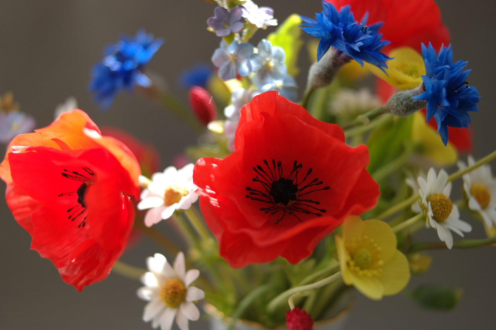 Wildflowers Bouquet Summer Field Flowers From Polymer Clay Etsy