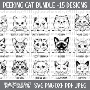 spähende Katze Clipart, Katzengesicht, Süße Katze Clipart, Katzen Kopf, Süße Katzen Zeichnung, Süße Katze Png, Katzenhemd, Katzenkopf, Katzenkopf, Handgemacht, Halloween