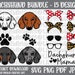 see more listings in the DOG BREEDS section