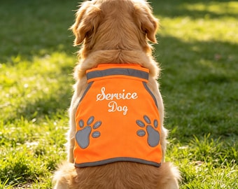 Custom Embroidered Name Dog Reflective Vest, Personalized Night Safety Pet Vest, Walking Training  Vest for Small Dog, Pet Birthday Gifts