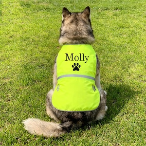 Puede incluir: Un perro lleva un chaleco amarillo brillante con el nombre "Molly" impreso en negro, junto con una huella de pata negra. El chaleco tiene rayas reflectantes y detalles de huellas de patas. El perro está sentado sobre hierba verde.
