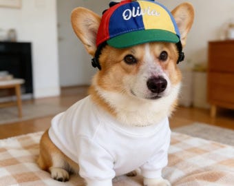 Embroidered Name Propeller Helicopter Pet Hats, Personalized Name Spinning Propeller Pets Hats, Funny Caps for Cats Dogs, Unique Pet Gifts