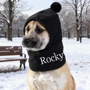 Könnte beinhalten: Ein Hund trägt eine schwarze Fleece-Kapuze mit einem Bommel oben und dem Namen "Rocky" in Weiß aufgedruckt. Der Hund befindet sich in einer verschneiten Parklandschaft.