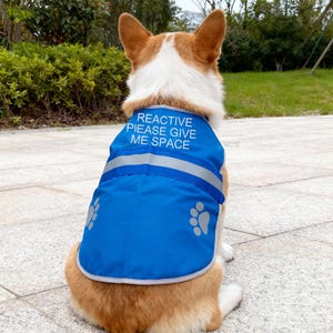 Chaleco reflectante bordado personalizado para mascotas, chaleco de seguridad personalizado para perros, equipo para pasear perros con nombre, equipo reflectante para paseos nocturnos, regalos para perros