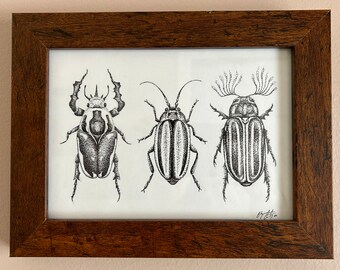 5x7 Beetle Print | Stippled Bug Illustration, Giclee Art