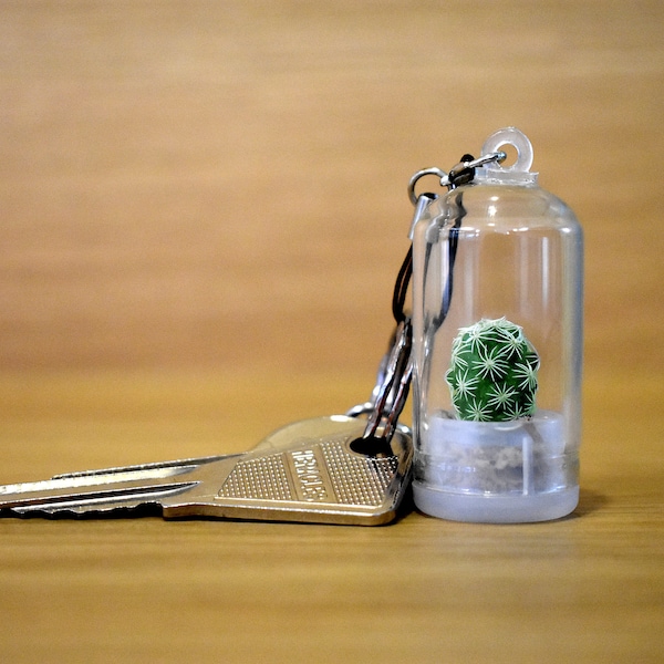 Porte-clé - Pendentif mini-cactus - CORY