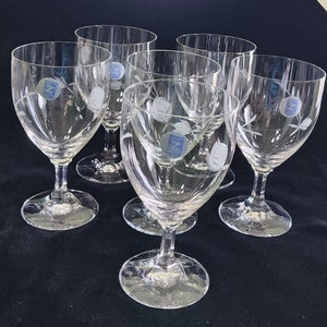 6 Vintage Schott-Zwiesel Water Goblets in Original Box  (condition is rough), Pattern is NECKAR ROSE. 3 have original stickers. Unused.