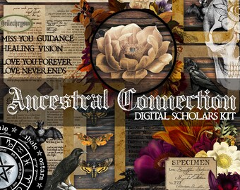 Pode incluir: Um kit de colagem digital intitulado Ancestral Connection apresentando um crânio, morcegos, corvos, mariposas e elementos florais. O design inclui texto como Miss You Guidance, Healing Vision, Love You Forever, Love Never Ends e um zodíaco.