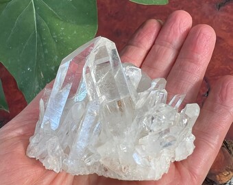 Arkansas Quartz Crystal Palm Cluster, Many points, Self Healed Bottom, Lean Into Me Arkansas Cluster with small twin crystals
