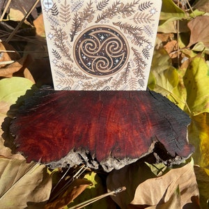 Porte-cartes Oracle de tarot en bois flotté de racine rouge de Californie Ceanothus, porte-cartes en bois unique, rare, du jour