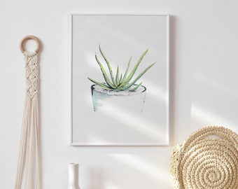 House Plant Art Print | Botanical Illustration | Aloe Vera | A4 A5 Unframed Print